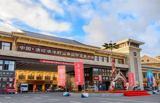 中國清河澳洋野山參國際交易市場門票成人