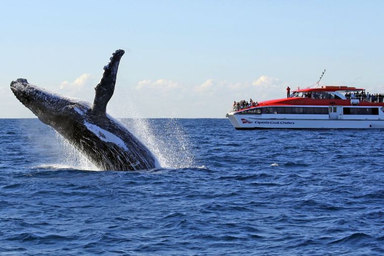 괌 신혼여행 패키지