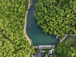 Bamboo Forest In Mukeng
