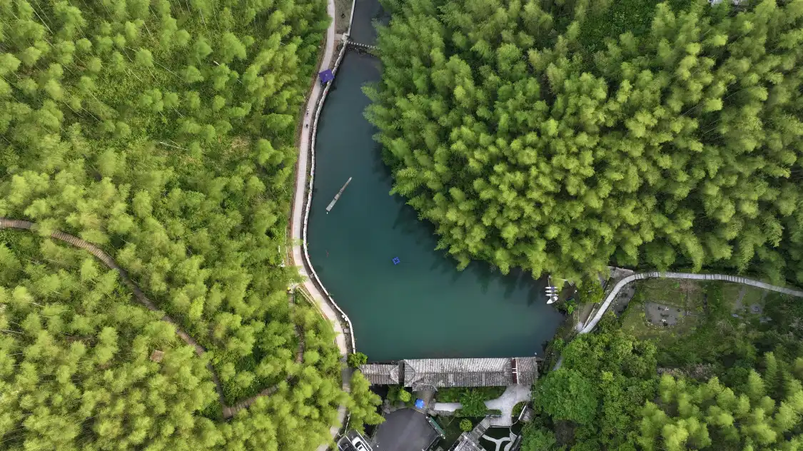 Hotels near Bamboo Forest In Mukeng