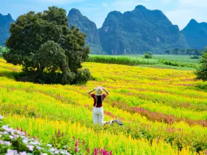 Dongnayuwan Scenic Area