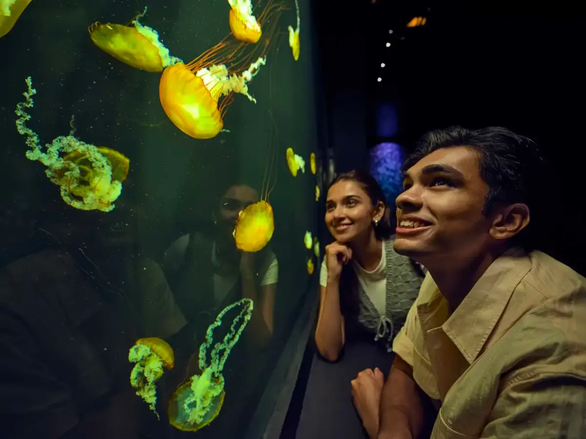 Singapore Oceanarium