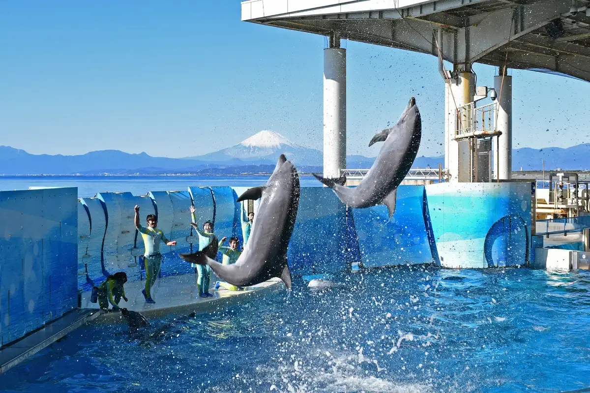 Enoshima