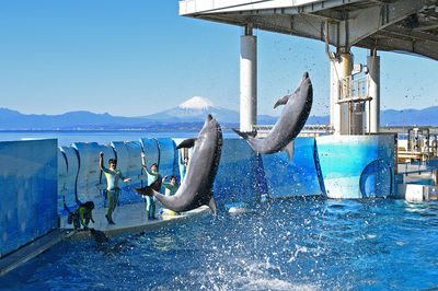 Enoshima Aquarium