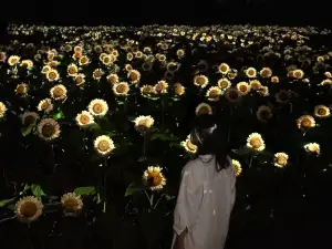 teamLab Botanical Garden Osaka