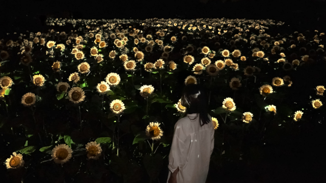 teamLab Botanical Garden Osaka