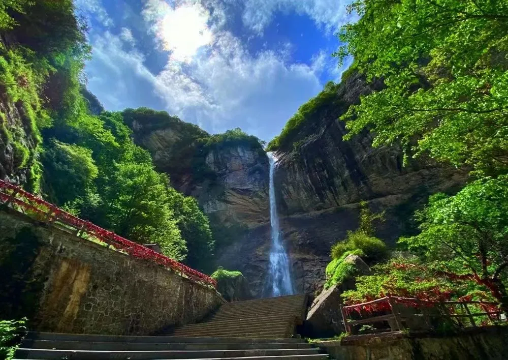 2_太平國家森林公園