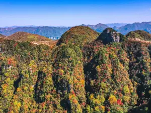 達州の人気紅葉の名所