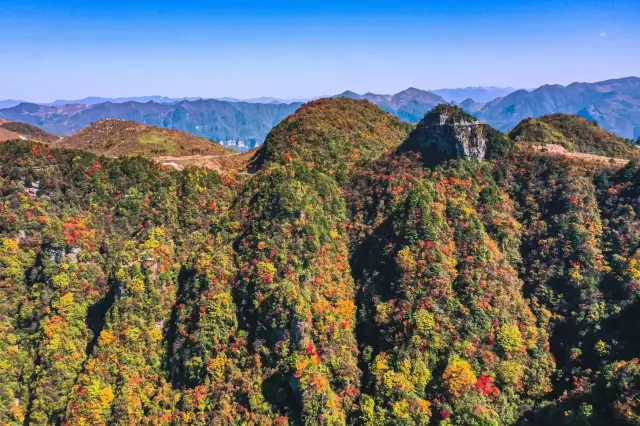 Fall Leaves Viewing in Dazhou