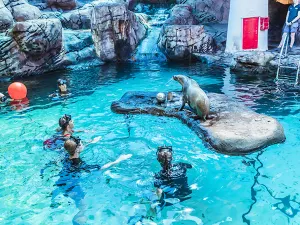 SEA LIFE 선샤인코스트 수족관