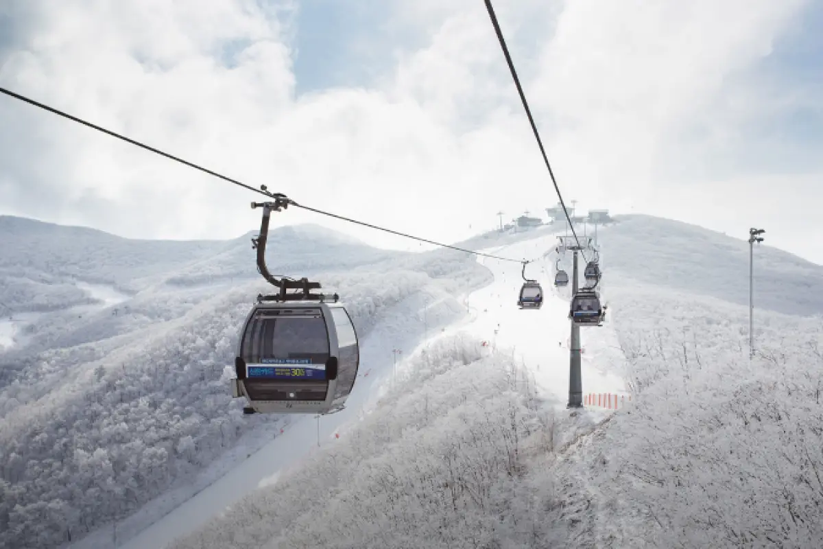 8. High1 Resort: Pemandangan Spektakuler & Ramah untuk Semua Level 🌄