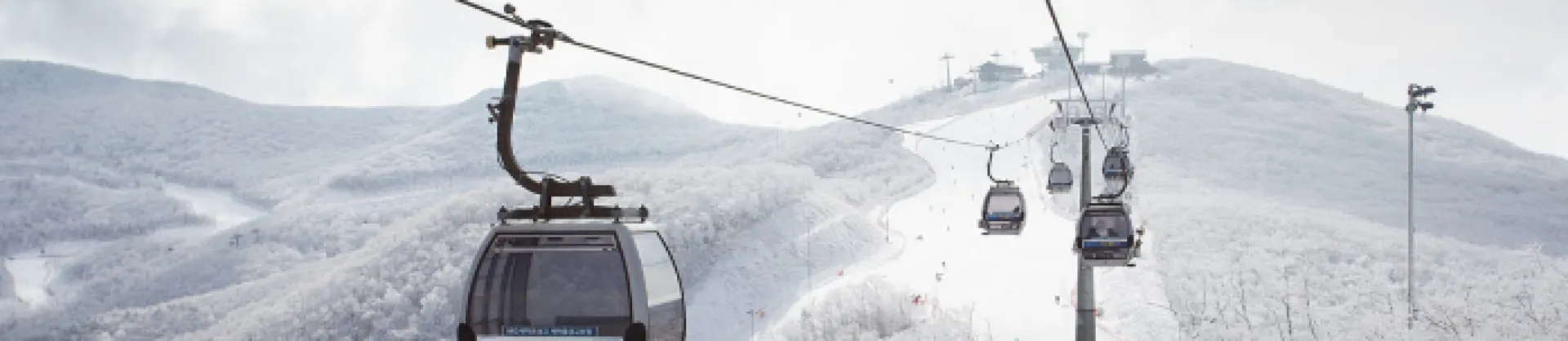Ski Resorts