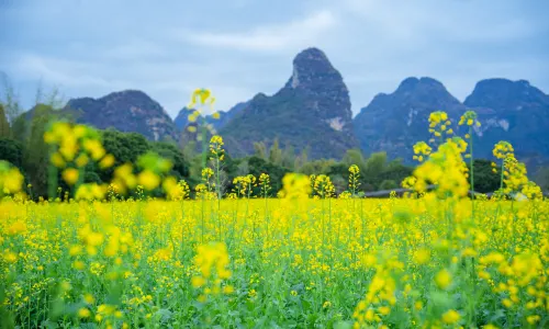 Dongnayuwan Scenic Area