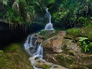 Shenniuxi Scenic Area