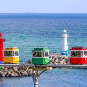 Природа / дикая природа