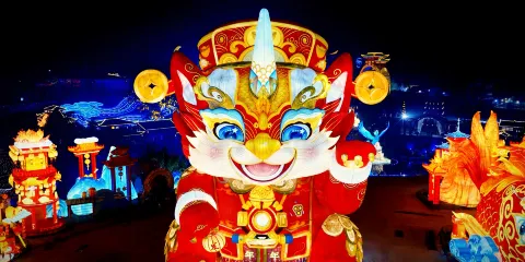 自贡·中华彩灯大世界