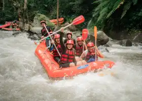 Ayung River Rafting