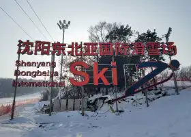 Northeast Asia Ski Resort
