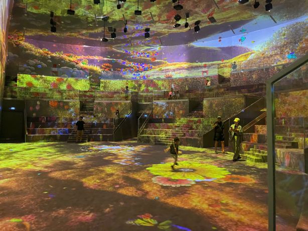 Ice Jungle