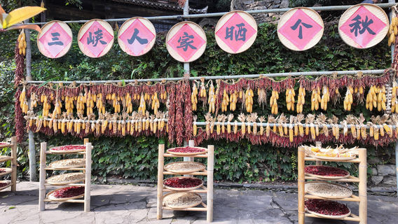 Boat into Tribe of the Three Gorges