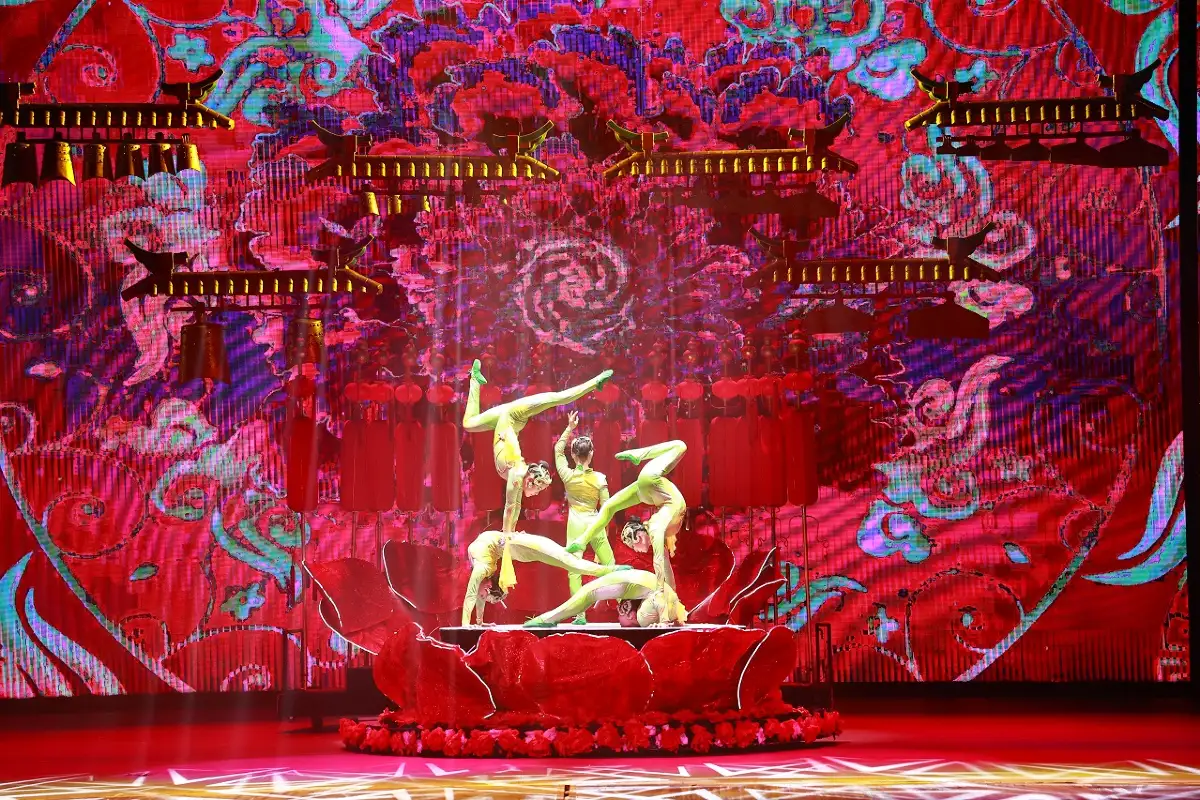 Kung Fu and Acrobatics Shows: A Beijing Night to Remember