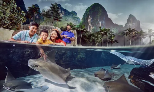 SeaWorld® Yas Island