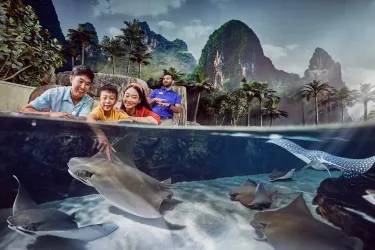 SeaWorld® Yas Island