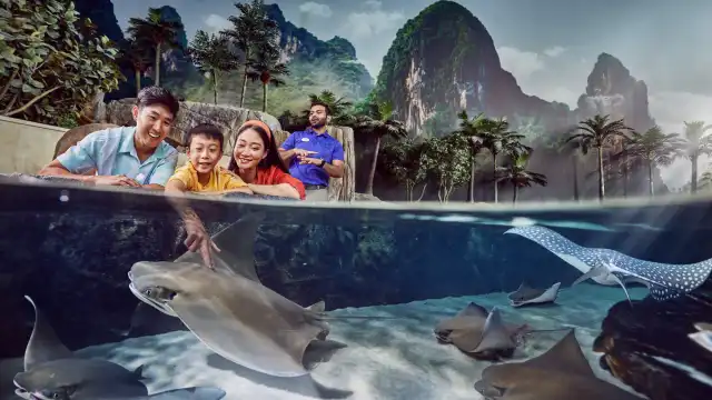 SeaWorld® Yas Island