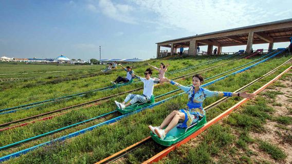 Grass Skiing in Ordos