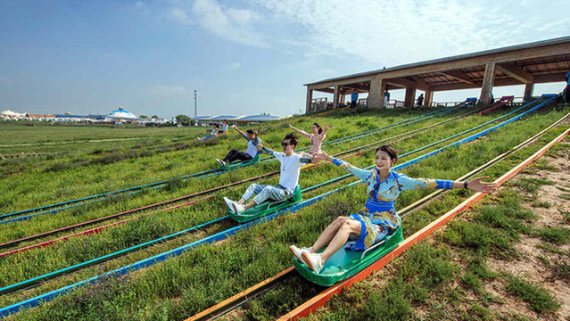Grass Skiing in Ordos