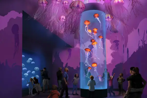 샌디에고 씨월드 매력