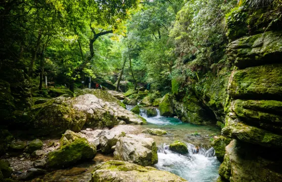 仙寓山景區門票成人