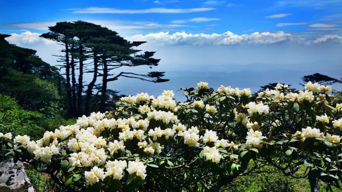 3_洗馬潭大索道
