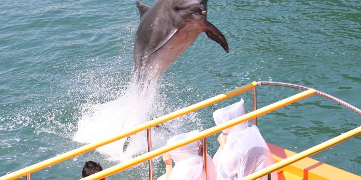 下田海中水族館