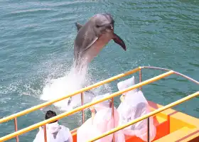 下田海中水族館