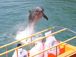 Shimoda Floating Aquarium