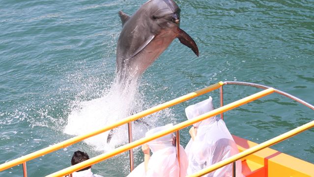 Shimoda Floating Aquarium