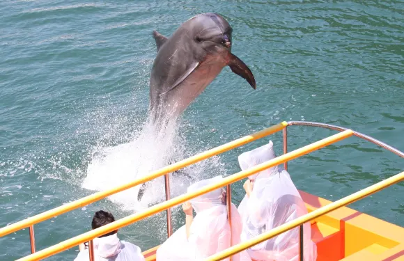 下田海中水族館門票（2026.1.1~）小童（4歲至12歲）