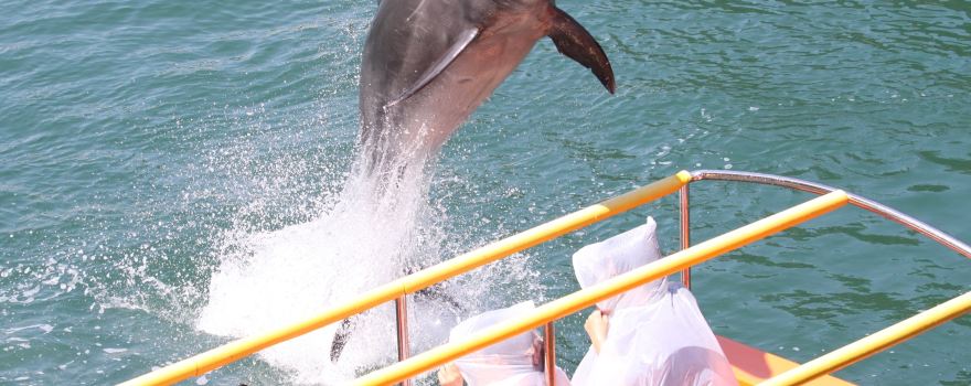 Shimoda Floating Aquarium