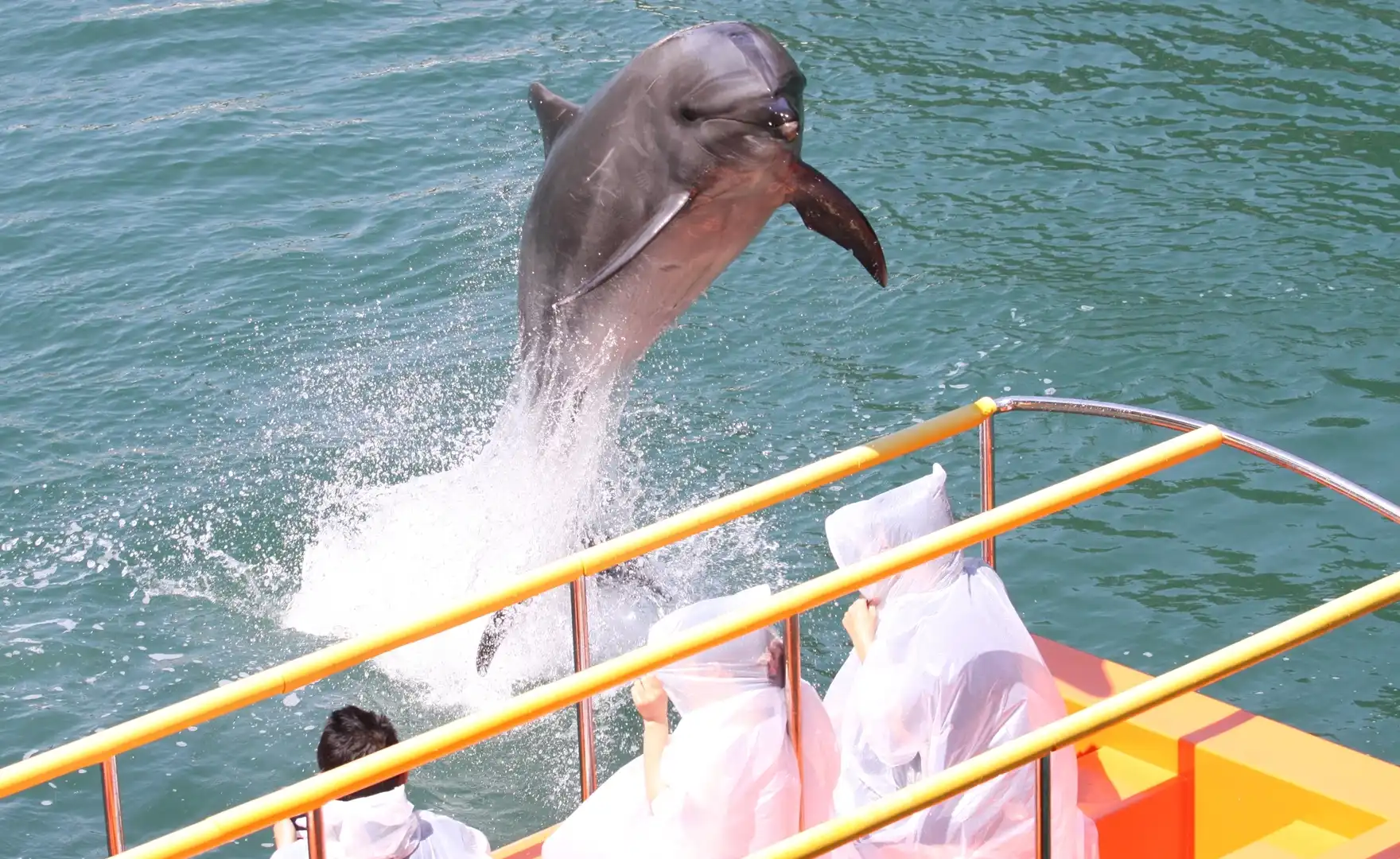 Hotels near Shimoda Floating Aquarium