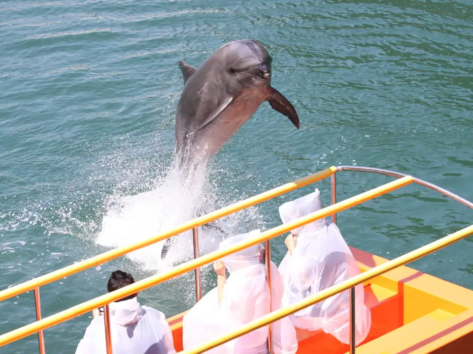 1_下田海中水族館