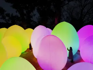 teamLab Botanical Garden Osaka