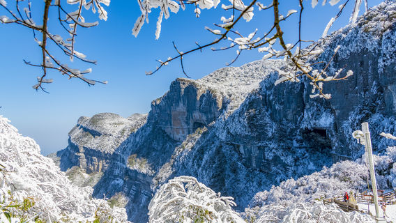 Gold Buddha Mountain