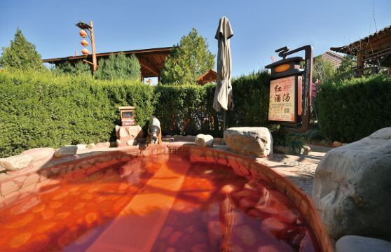 壺山溫泉門票成人