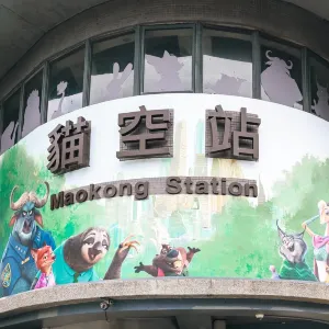 貓空