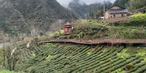 神農架姊妹園門票成人票