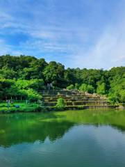 Jinguang Lake