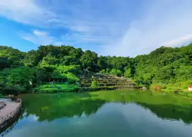 Jinguang Lake