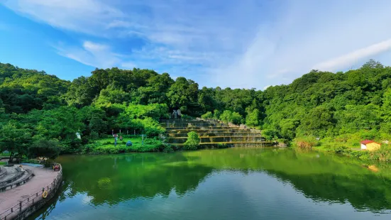 Jinguang Lake