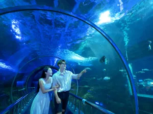 Xinao Underwater World